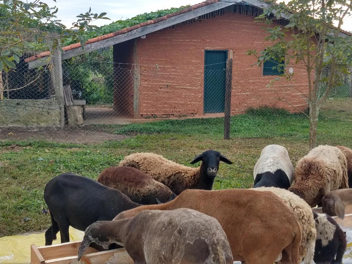 Pousada Rural Ouro Verde Eldorado Bagian luar foto