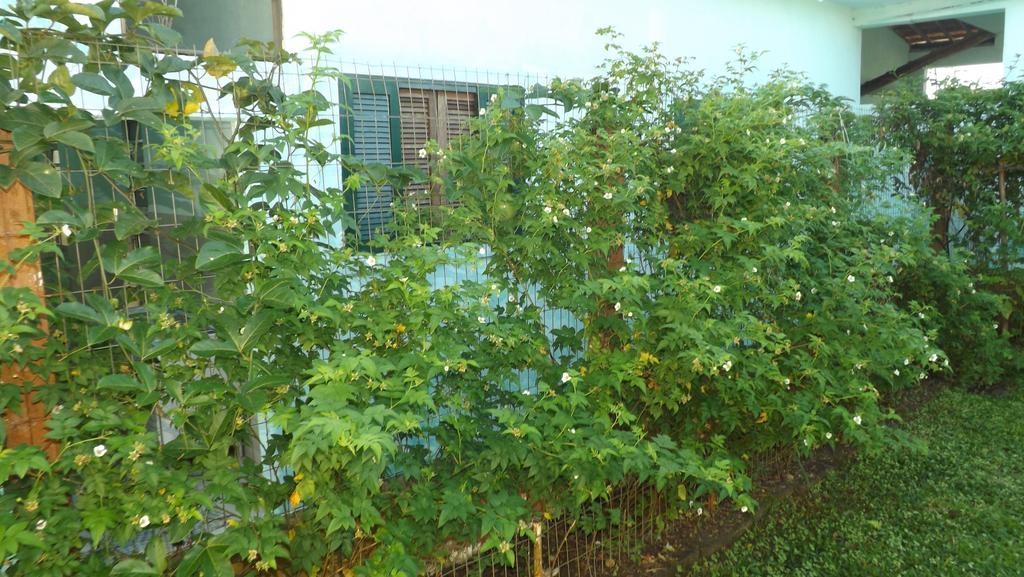 Pousada Rural Ouro Verde Eldorado Bagian luar foto