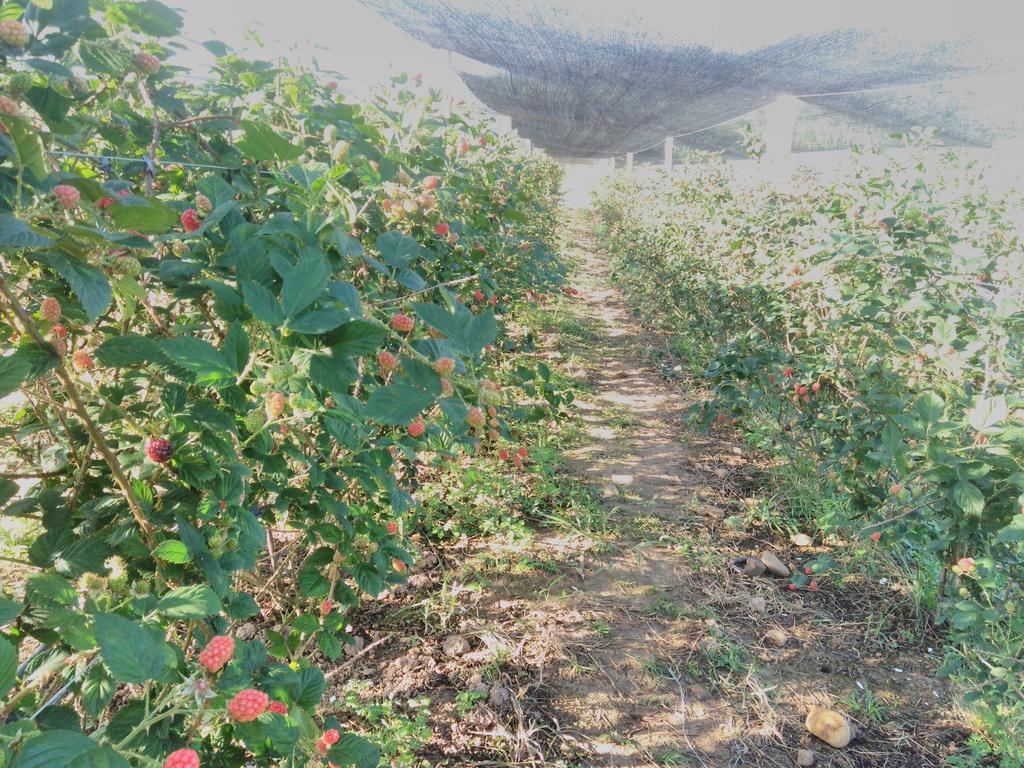 Pousada Rural Ouro Verde Eldorado Bagian luar foto